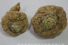 国产特级黄,探寻国产特级黄酒的魅力与传承